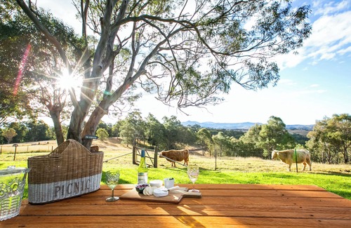 Candelo Apartamento | Relax & unwind in the country in our Cozy Farm Stay King Apartment. Pet Friendly