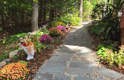 East Falmouth Apartamento | Adorable and very private 1 bedroom 1 bath studio for relaxing