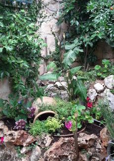 Safed Apartamento | Relaxed garden apartment with Galilee sea view 1