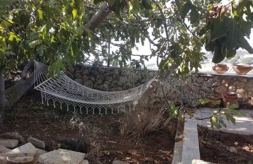 Safed Apartamento | Relaxed garden apartment with Galilee sea view 1