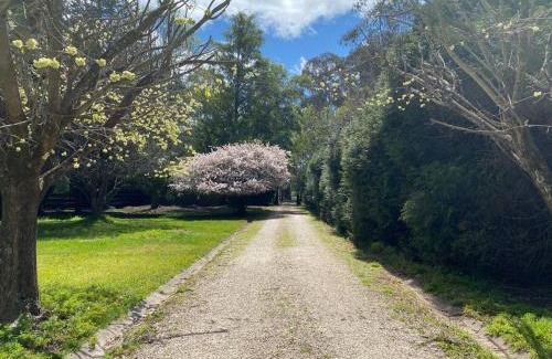 Burrawang Casa | Relaxing at acreage farmhouse