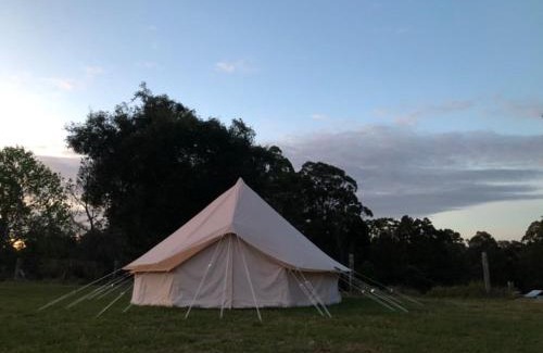 Tabulam Otro | Relaxing bell tent in northern NSW