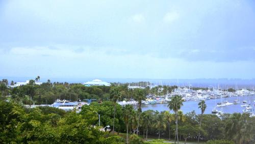 Coconut Grove Apartamento | Relaxing Condo Hotel In The Grove, Free Parking