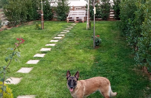 Saronikos Cabina | Relaxing House close to beach