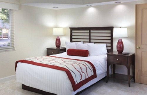 Pompano Beach Complejo | ¡Relajantes cruceros por el canal intracostero!