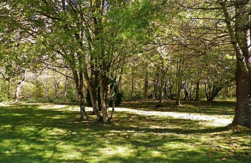 Cosby Apartamento | Relaxing Resort Condos at the Foothills of the Smoky Mountains
