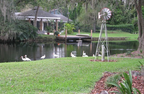 Lutz Casa | Relaxing waterfront haven. Near Moffett cancer center.
