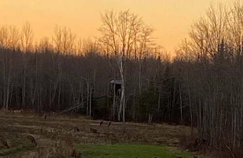 Burnham Cabina | Remote accessible off-grid cabin