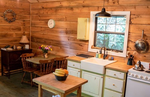 Clayton Cabina | Remote cabin with creek and waterfall views 10 min from town