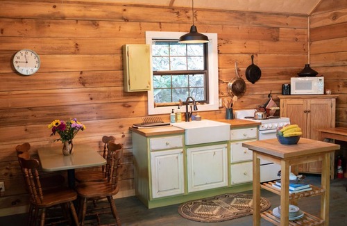 Clayton Cabina | Remote cabin with creek and waterfall views 10 min from town