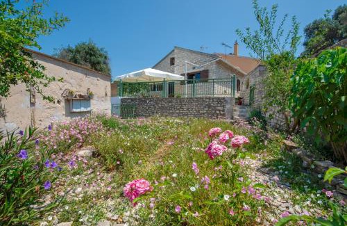 Katsimatika Casa | Rena's house