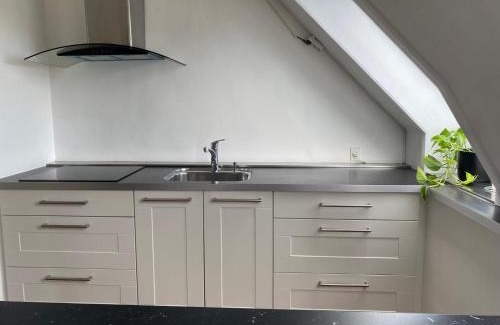 Birkerod Apartamento | Renovated apartment