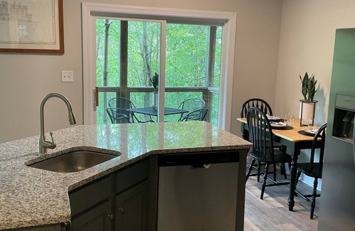 Boone Cabaña | Renovated Boone Deluxe Cottage with 2 bed 2 bath, sleeps 6 max, pet friendly