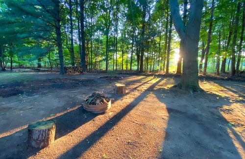 South Haven Cabina | Renovated cabin / beach access / 1+ acre of woods
