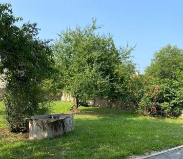Arthes Apartamento | Renovated house l Garden l Private parking