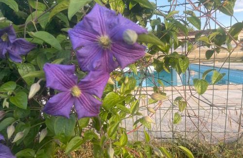Saint-Jory Apartamento | Repli des 3 ponts