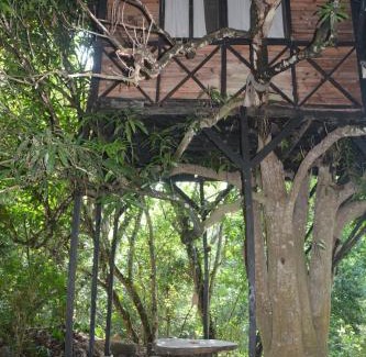 Santa Marta Cabina | Reserva Biologica Caoba