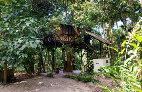 Santa Marta Cabina | Reserva Biologica Caoba