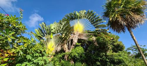 Le Marin Casa | Residence Can' Hibiscus