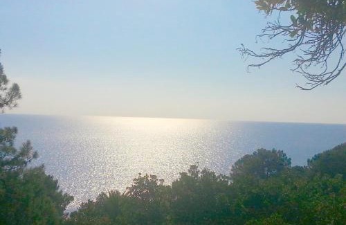 Sari-Solenzara Apartamento | Residence Canella
