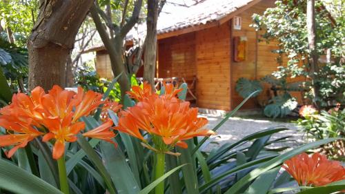 Sorrento Apartamento | Residence Villaggio Verde