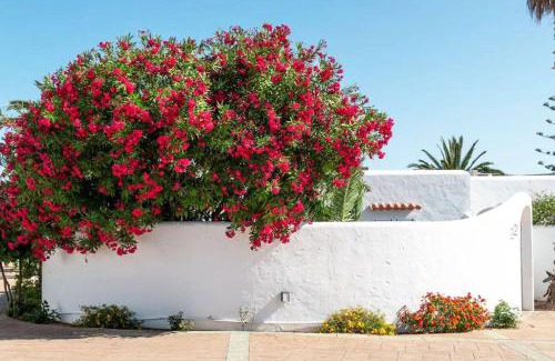 Bahía de San Antonio Villa | Residencial Bogamarí