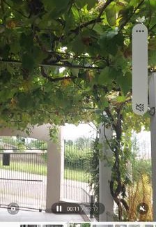Jardim Sabara Cama Y Desayuno | Residencial pós cirurgia