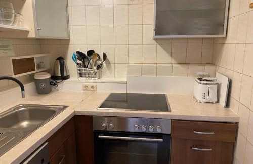 Viehhofen Apartamento | Residenz am Erzbach Top 2A