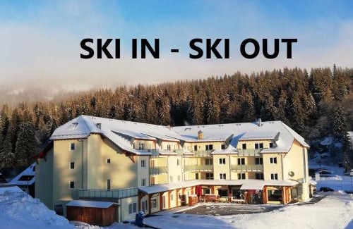 Feldberg Apartamento | Residenz Grafenmatt Feldberg