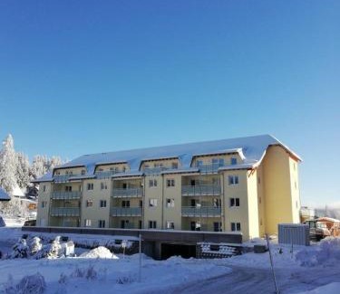 Feldberg Apartamento | Residenz-Grafenmatt-Feldberg-Schwarzwald