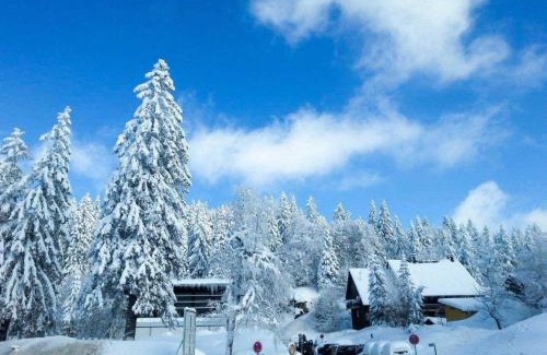 Feldberg Apartamento | Residenz Grafenmatt im Schwarzwald