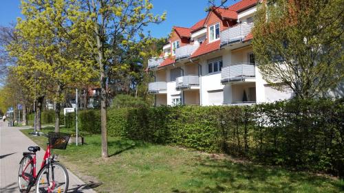 Bad Saarow Apartamento | Residenz Zum Kronprinzen