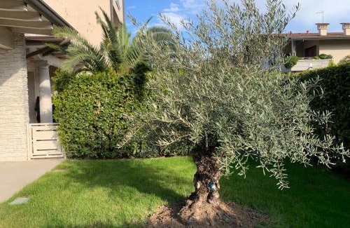 Rivoltella Casa | Residenza Puccini