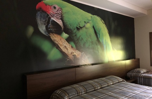 Sao Pedro Otro | Resort Fazenda São João