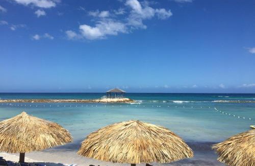 Montego Bay Apartamento | Resort Tulimo