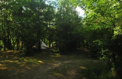 Montagut Otro | Respira Glamping Alta Garrotxa