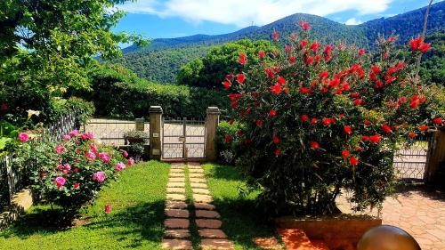 Tirli Casa | Respiro Toscano
