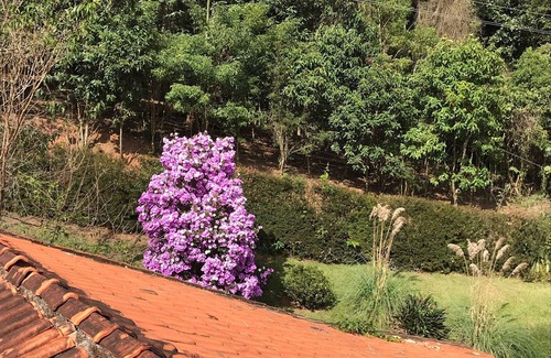 Araras Casa | Descansa en el Valle de las Vides - Guacamayos