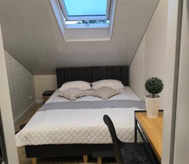 Belchatow Apartamento | Restauracja Dajana