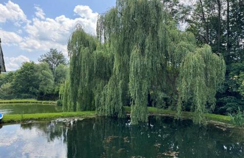 Gmina Swierzawa Apartamento | Restauracja i Noclegi Izba Rybacka w Krainie Wygasłych Wulkanów