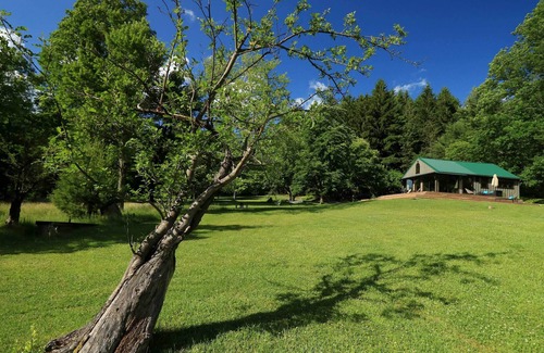 Spring Mills Cabina | Restorative Spring Mills Retreat w/ Pond!