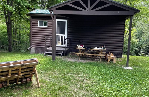 Prattsburgh Cabina | Retreat from Modern Life - Off Grid Cozy Cabin in the Woods on 20 Acres of Land