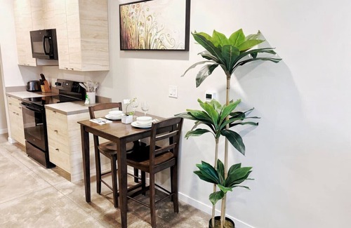 Downtown Des Moines Apartamento | Retro Elegant Studio (136)