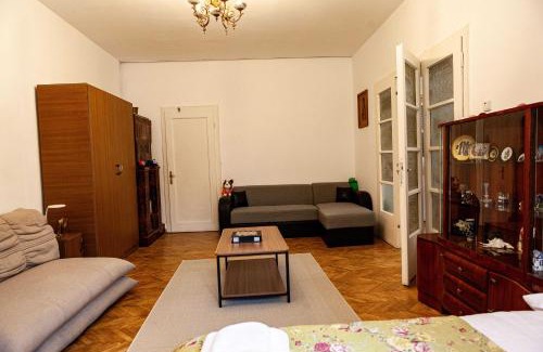 Centrul Vechi Casa | Retro Green Cottage with a Barkyard - Pet Friendly