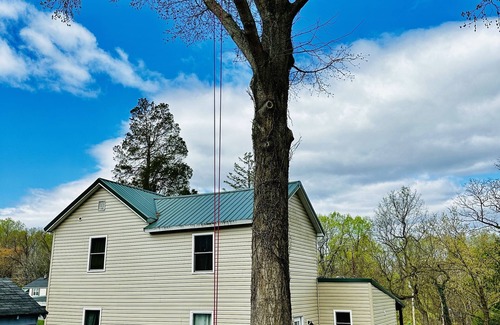 Lynchburg Casa | Retro Modern Restored 1930's-Home Near Downtown Lynchburg & LU