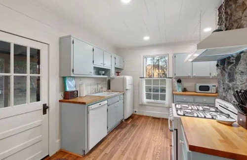 Suches Cabaña | Retro Rock Cottage- Private Toccoa River Retreat