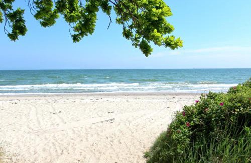 Lobbe Apartamento | Rex Rugia FeWo12-2 strandnah,Terrasse,Sauna,Pool