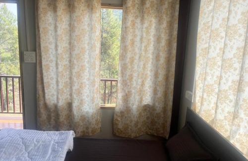 Almora Cama Y Desayuno | Reys Cafe and Boutique Cottage - A Jungle Stay