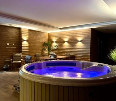 Karlovy Vary Apartamento | Rezidence Moser Plus