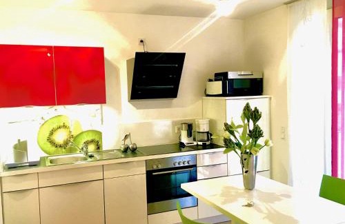 Petershausen-West Apartamento | Rhein Romantik riverview